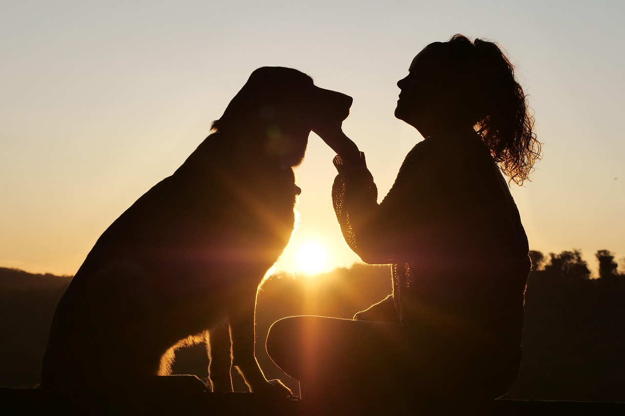 erfahren sie, wie sie die bestmögliche pflege für ihre tiere bieten können. tipps und ratschläge zur tiergesundheit, ernährung und verhalten für glückliche und gesunde haustiere.