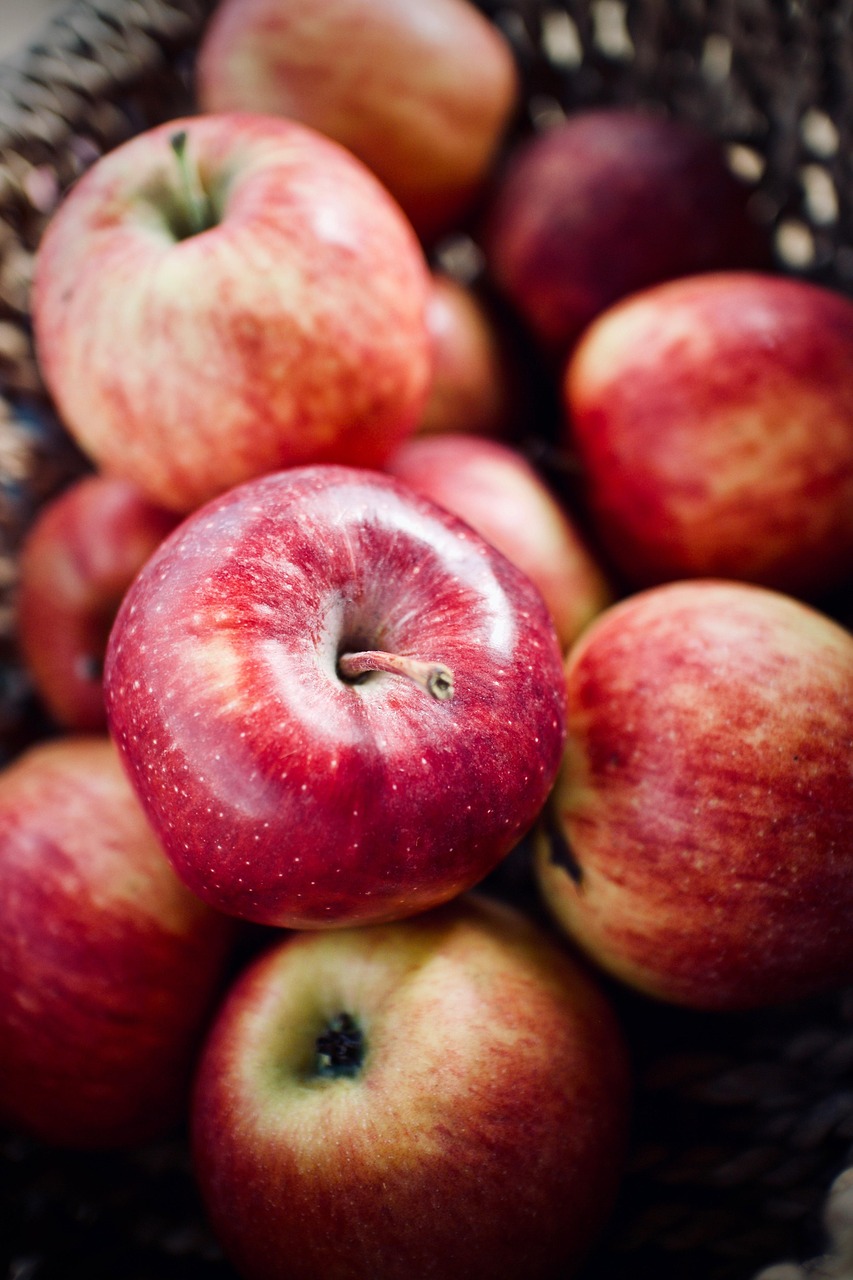 entdecken sie die grundlagen einer ausgewogenen ernährung, die ihre gesundheit fördert und ihr wohlbefinden steigert. erfahren sie mehr über wichtige nährstoffe, essgewohnheiten und tipps für eine nachhaltige ernährung.